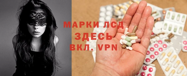 стафф Баксан
