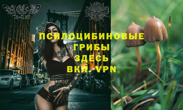 стафф Баксан