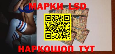 ALPHA PVP Гатчина