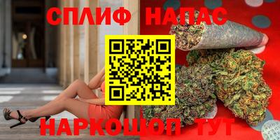 сатива Гай