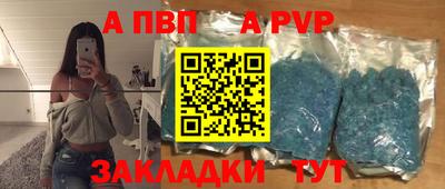 сатива Гай