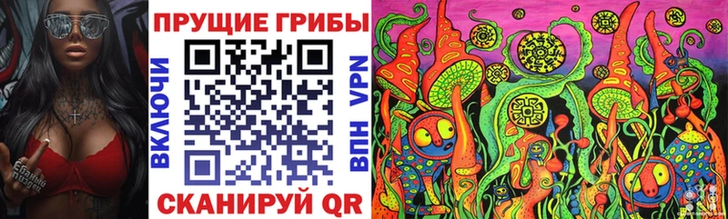 Галлюциногенные грибы Cubensis Спасск-Дальний
